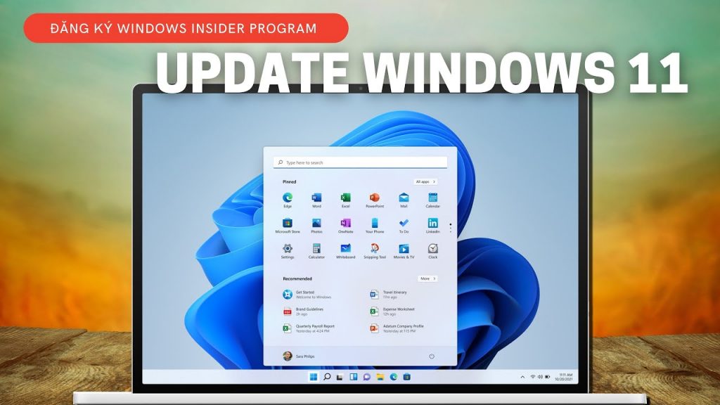 Hướng dẫn cách update Windows 11